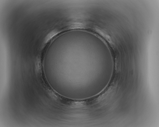 X0000113361453200909151225