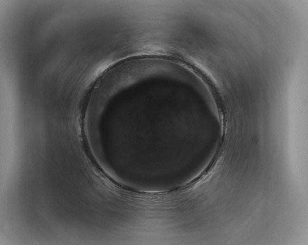 X0000113361455200909151225