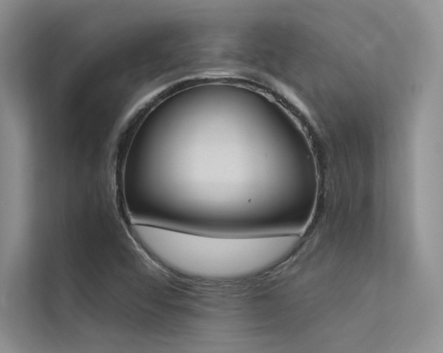 X0000113361456200909151225