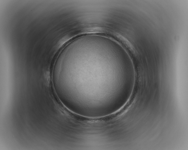 X0000113361457200909151225