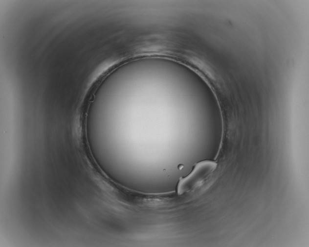 X0000113361458200909151225