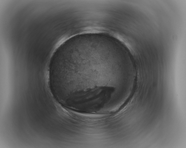 X0000113361459200909151225