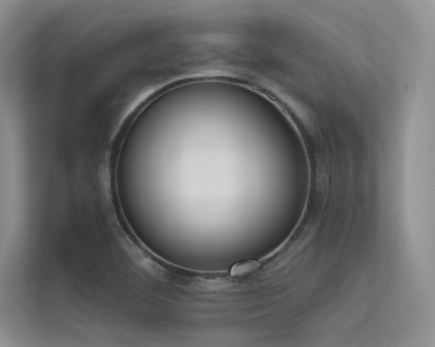 X0000113361460200909151225