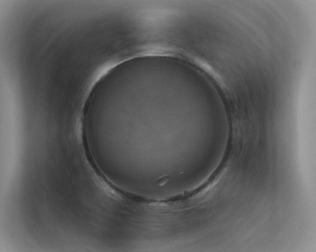X0000113361463200909151225
