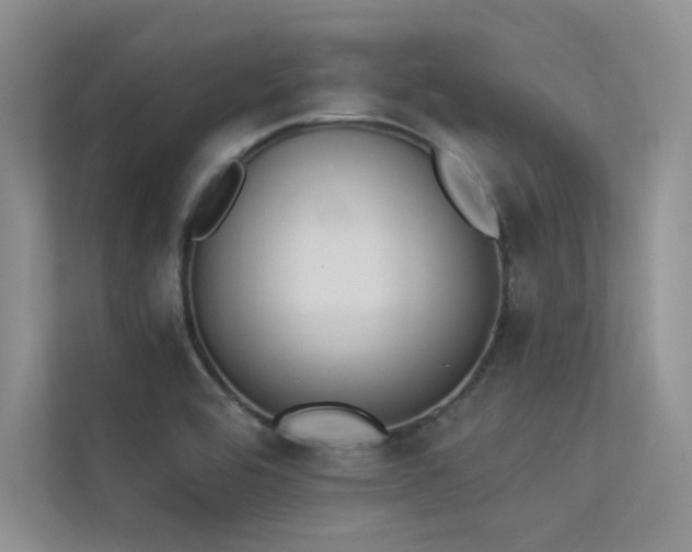 X0000113361464200909151225