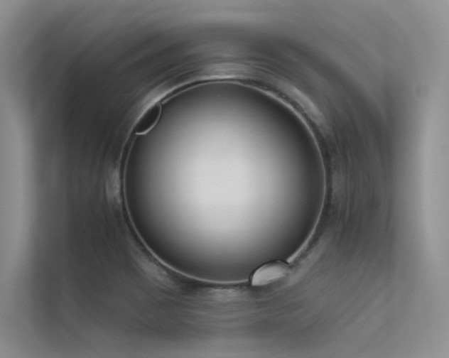 X0000113361465200909151225