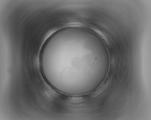 X0000113361466200909151225
