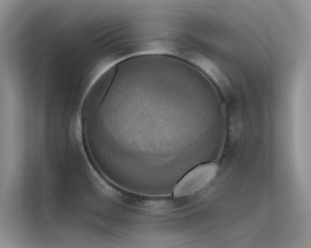 X0000113361468200909151225