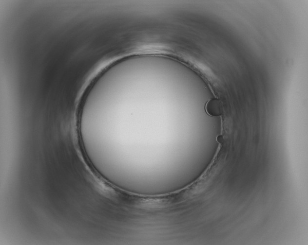 X0000113361470200909151225