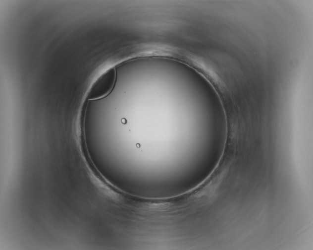 X0000113361471200909151225