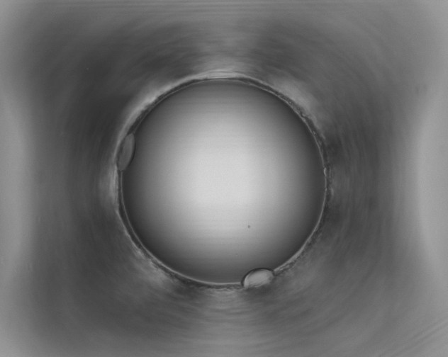 X0000113361472200909151225