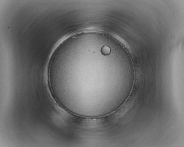 X0000113361474200909151225