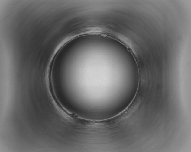 X0000113361475200909151225