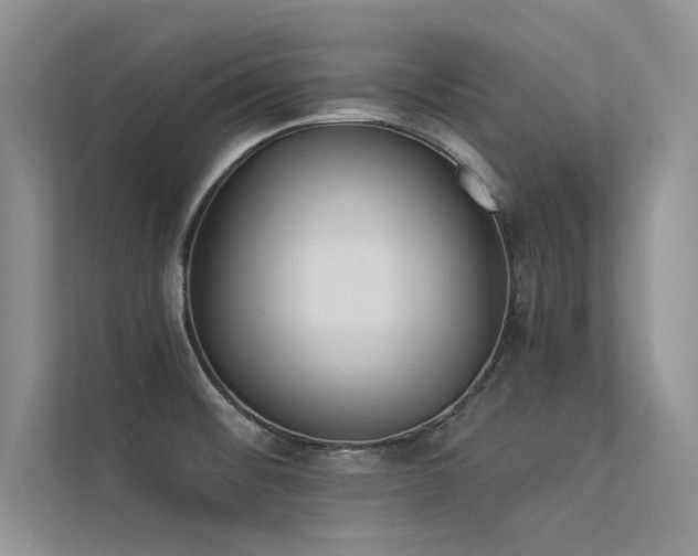 X0000113361476200909151225