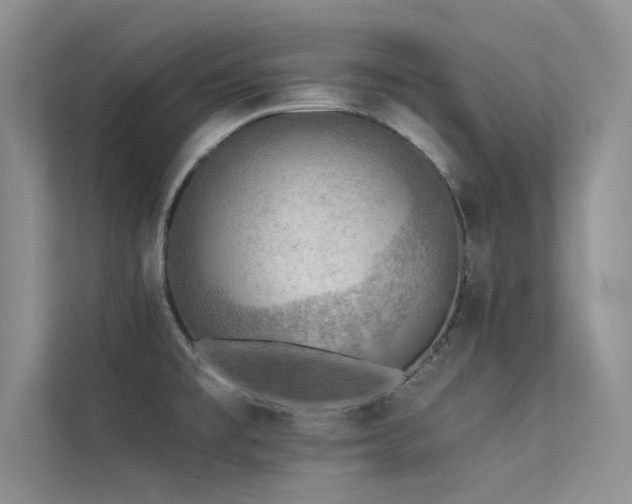 X0000113361477200909151225