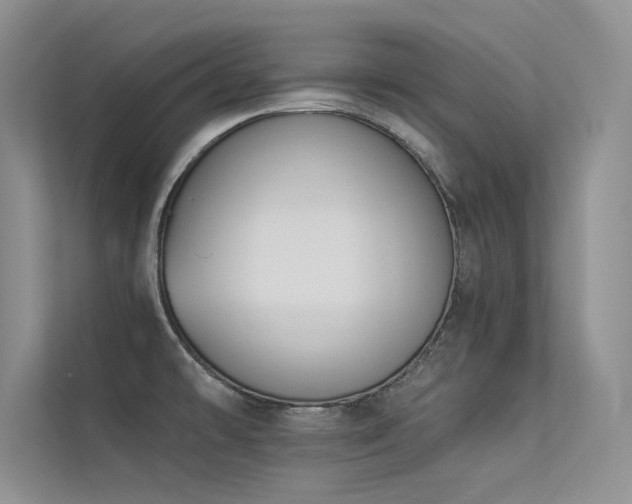 X0000113361478200909151225