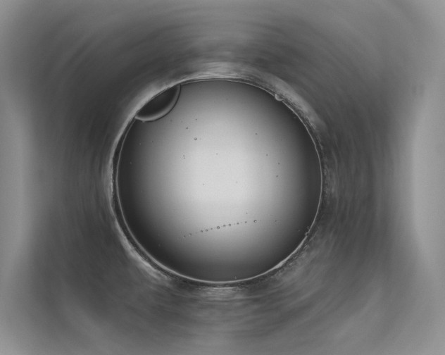 X0000113361479200909151225
