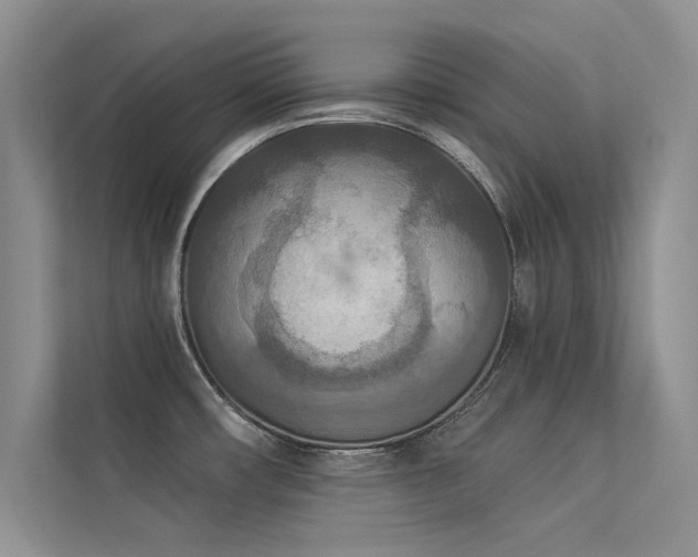 X0000113361482200909151225