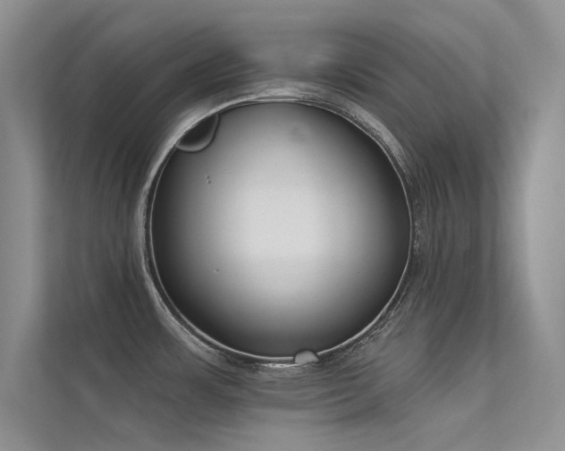 X0000113361483200909151225