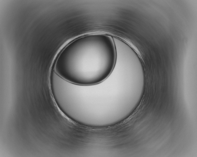 X0000113361484200909151225