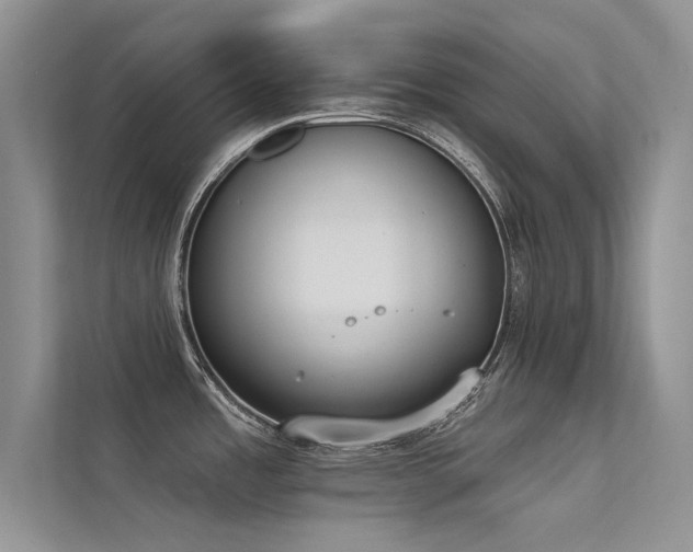 X0000113361485200909151225