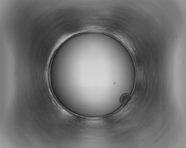 X0000113361486200909151225