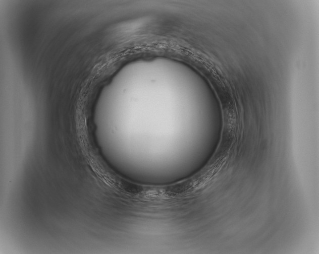 X0000113361489200909151224