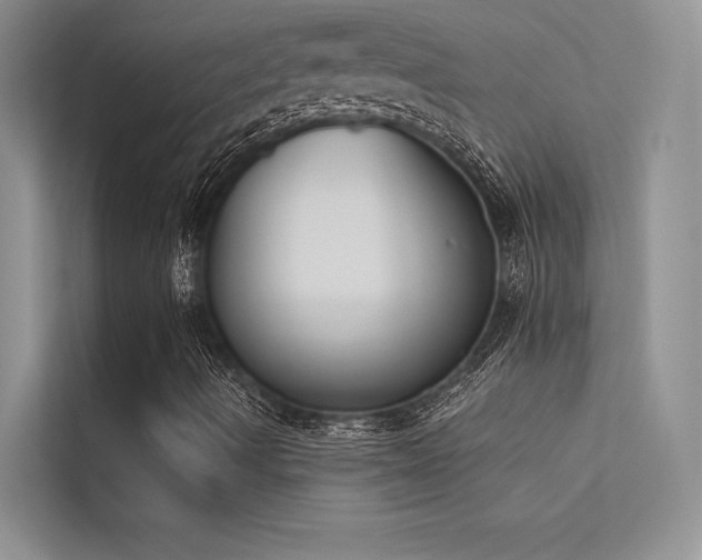 X0000113361490200909151224