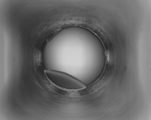 X0000113361492200909151224