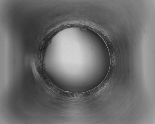 X0000113361494200909151224