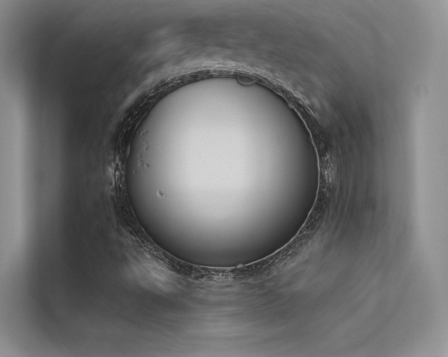 X0000113361495200909151224