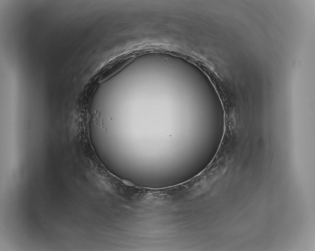 X0000113361496200909151224