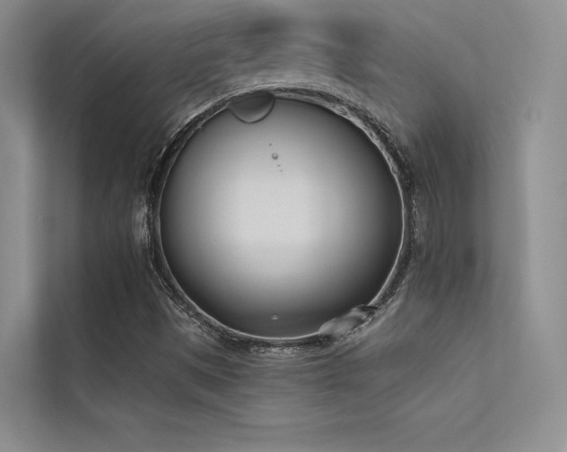 X0000113361497200909151224
