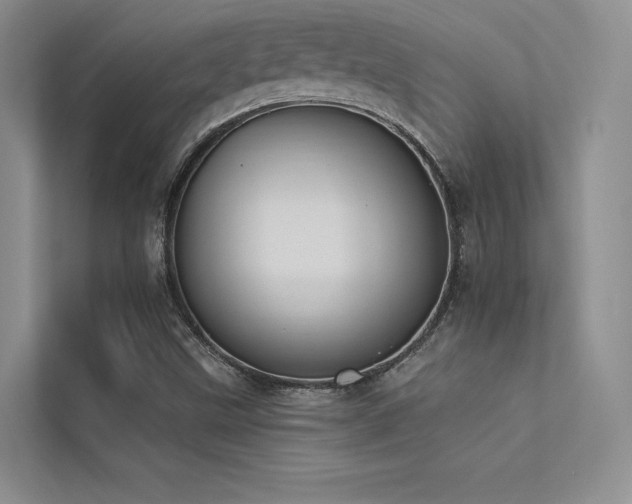 X0000113361499200909151224