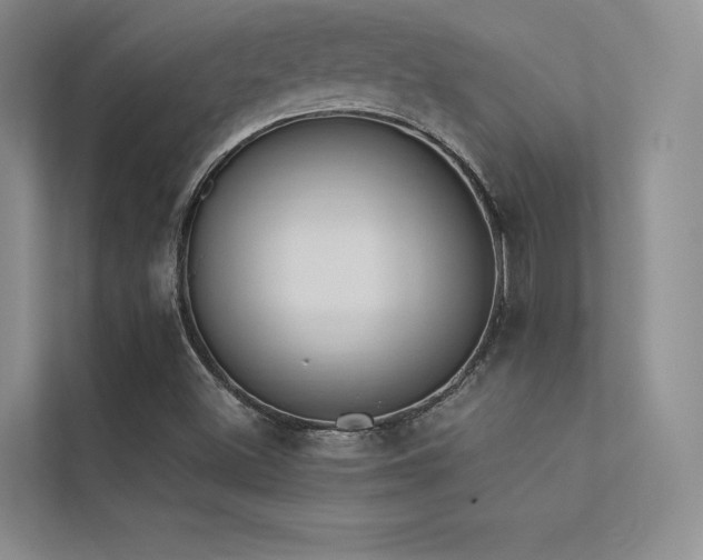 X0000113361500200909151224