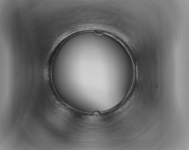 X0000113361501200909151224