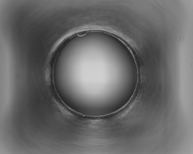 X0000113361502200909151224