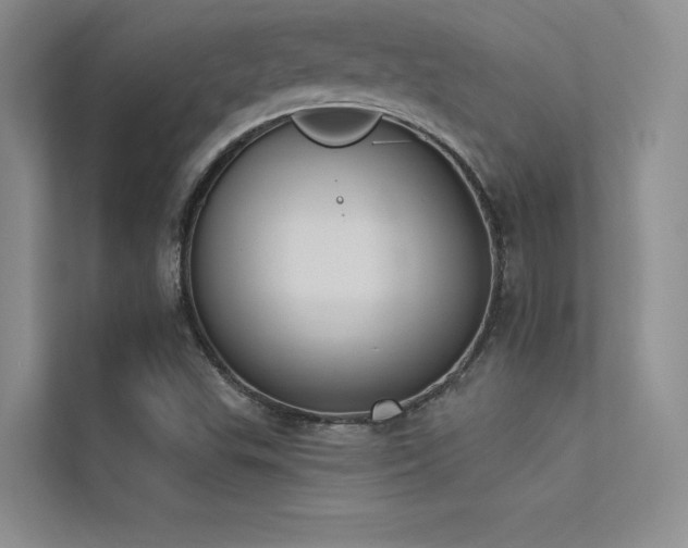 X0000113361503200909151224