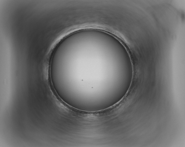 X0000113361504200909151225