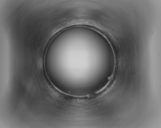 X0000113361505200909151225