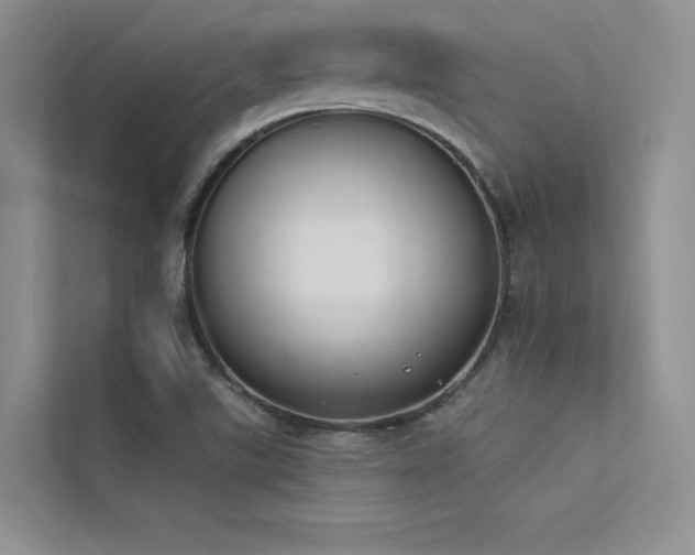 X0000113361507200909151225