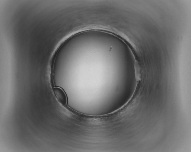 X0000113361508200909151225