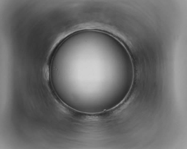 X0000113361509200909151225