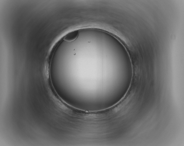 X0000113361510200909151225