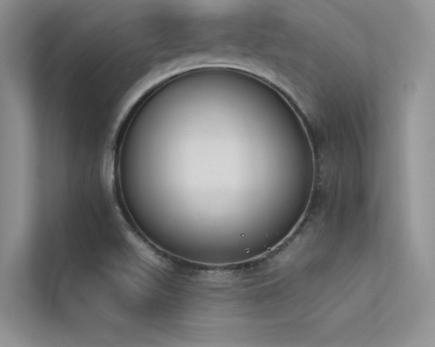 X0000113361511200909151225