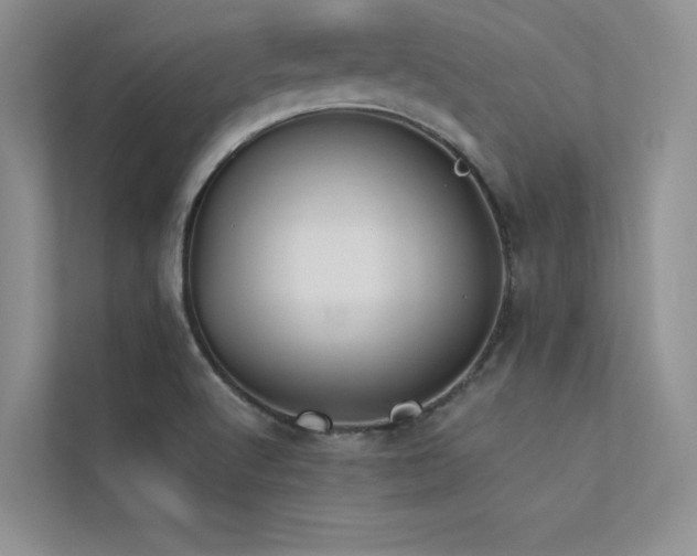 X0000113361512200909151225
