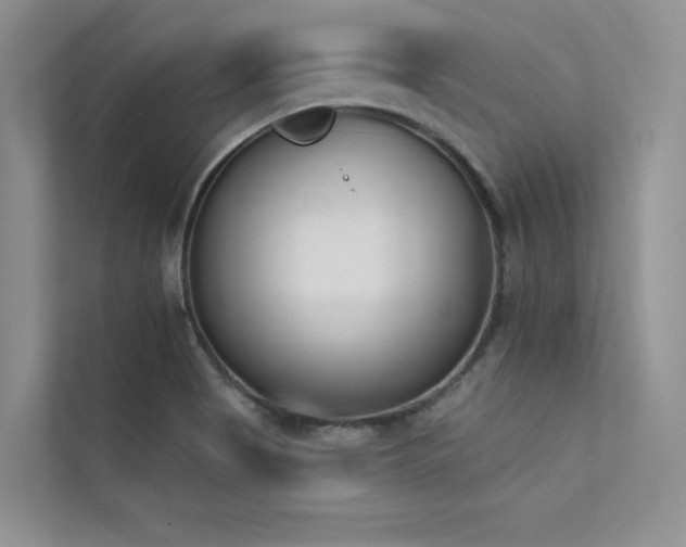X0000113361513200909151225