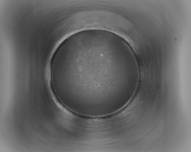 X0000113361515200909151225