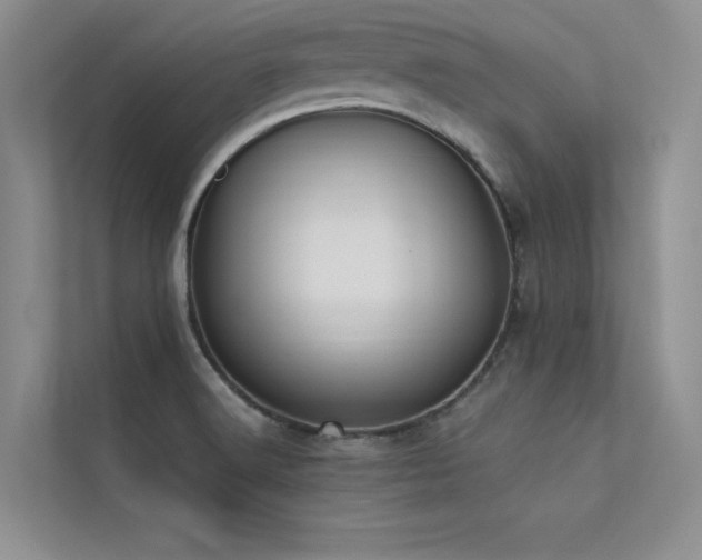 X0000113361516200909151225