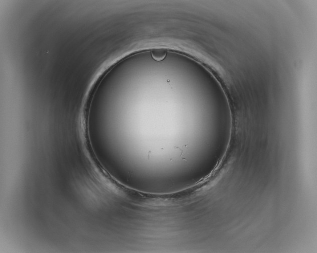X0000113361517200909151225